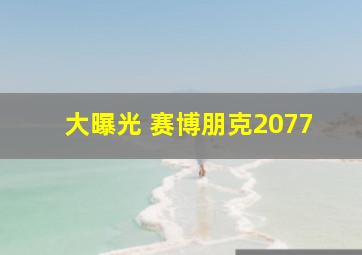 大曝光 赛博朋克2077